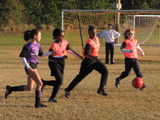 IMG_5544.JPG
