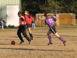 IMG_5549.JPG