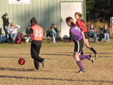 IMG_5550.JPG