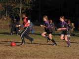 IMG_5564.JPG