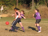 IMG_5586.JPG