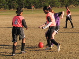 IMG_5641.JPG