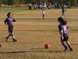 IMG_5651.JPG