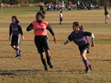 IMG_5654.JPG