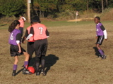 IMG_5773.JPG