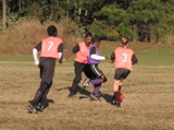 IMG_5798.JPG
