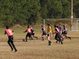 IMG_5839.JPG