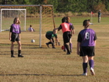IMG_5864.JPG