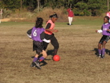 IMG_5903.JPG