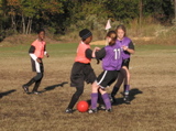 IMG_5927.JPG