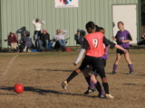 IMG_5942.JPG