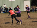 IMG_5943.JPG