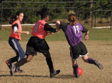 IMG_5948.JPG