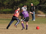 IMG_5954.JPG