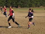 IMG_5975.JPG