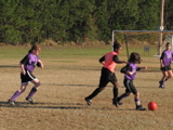 IMG_5983.JPG