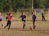 IMG_5985.JPG