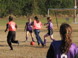 IMG_5989.JPG