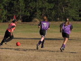 IMG_6001.JPG
