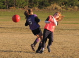IMG_5435.JPG