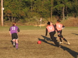 IMG_5448.JPG