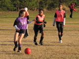 IMG_5462.JPG