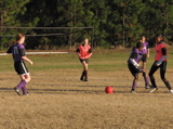 IMG_5502.JPG