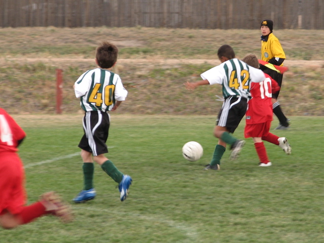 IMG_7768.JPG