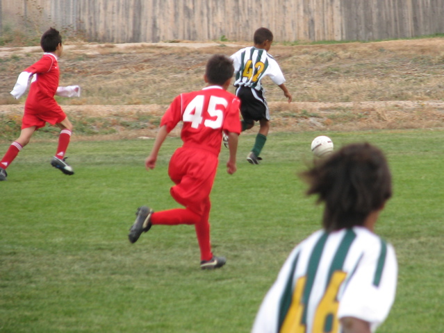 IMG_7650.JPG