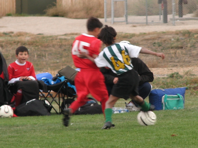 IMG_7772.JPG