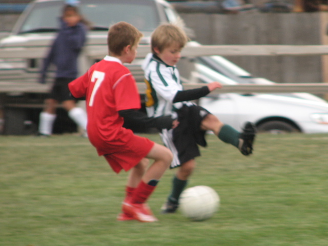 IMG_7777.JPG