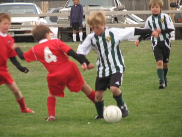 IMG_7778.JPG