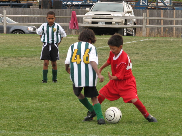 IMG_7661.JPG