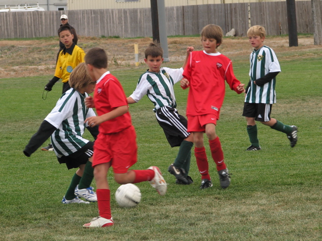IMG_7665.JPG