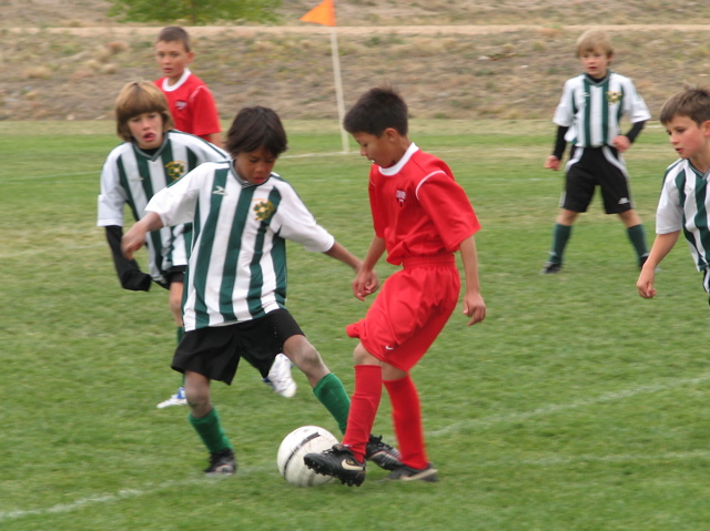 IMG_7679.JPG