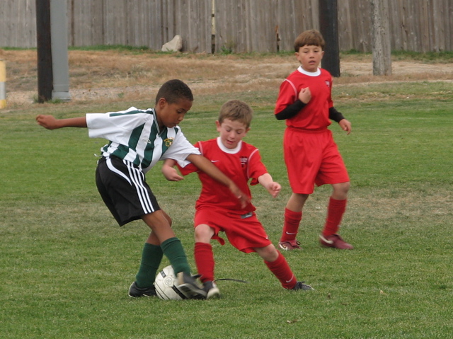 IMG_7754.JPG