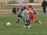 IMG_7757.JPG