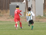 IMG_7761.JPG