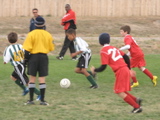 IMG_7767.JPG