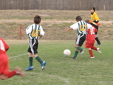 IMG_7768.JPG