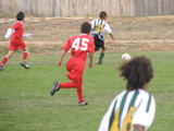 IMG_7650.JPG