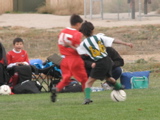 IMG_7772.JPG