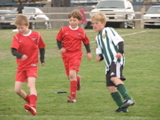 IMG_7779.JPG