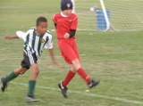 IMG_7781.JPG