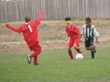 IMG_7651.JPG