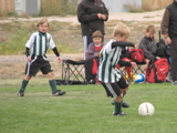 IMG_7653.JPG