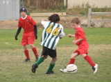 IMG_7654.JPG
