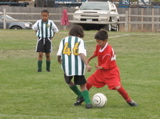 IMG_7661.JPG