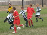 IMG_7665.JPG