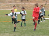 IMG_7667.JPG